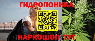прущие крисы Тула