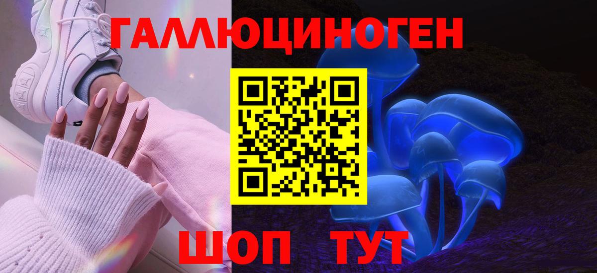 Нерюнгри  где продают   Вход с VPN  Галлюциногенные грибы GOLDEN TEACHER 
